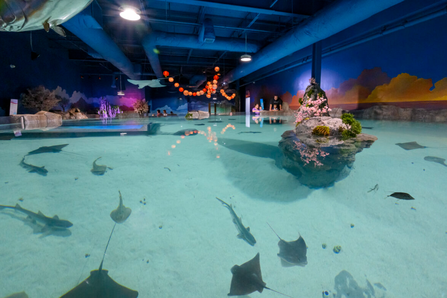 SeaQuest